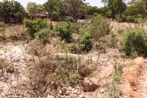 KILIFI BOFA 50x100 PLOT - 5min Walk to the Beach