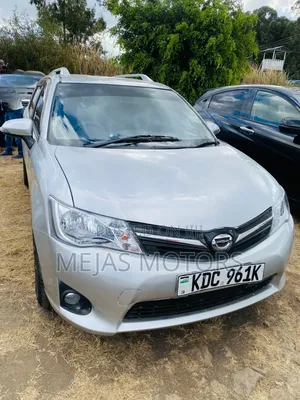 Toyota Corolla Fielder 2015 Silver