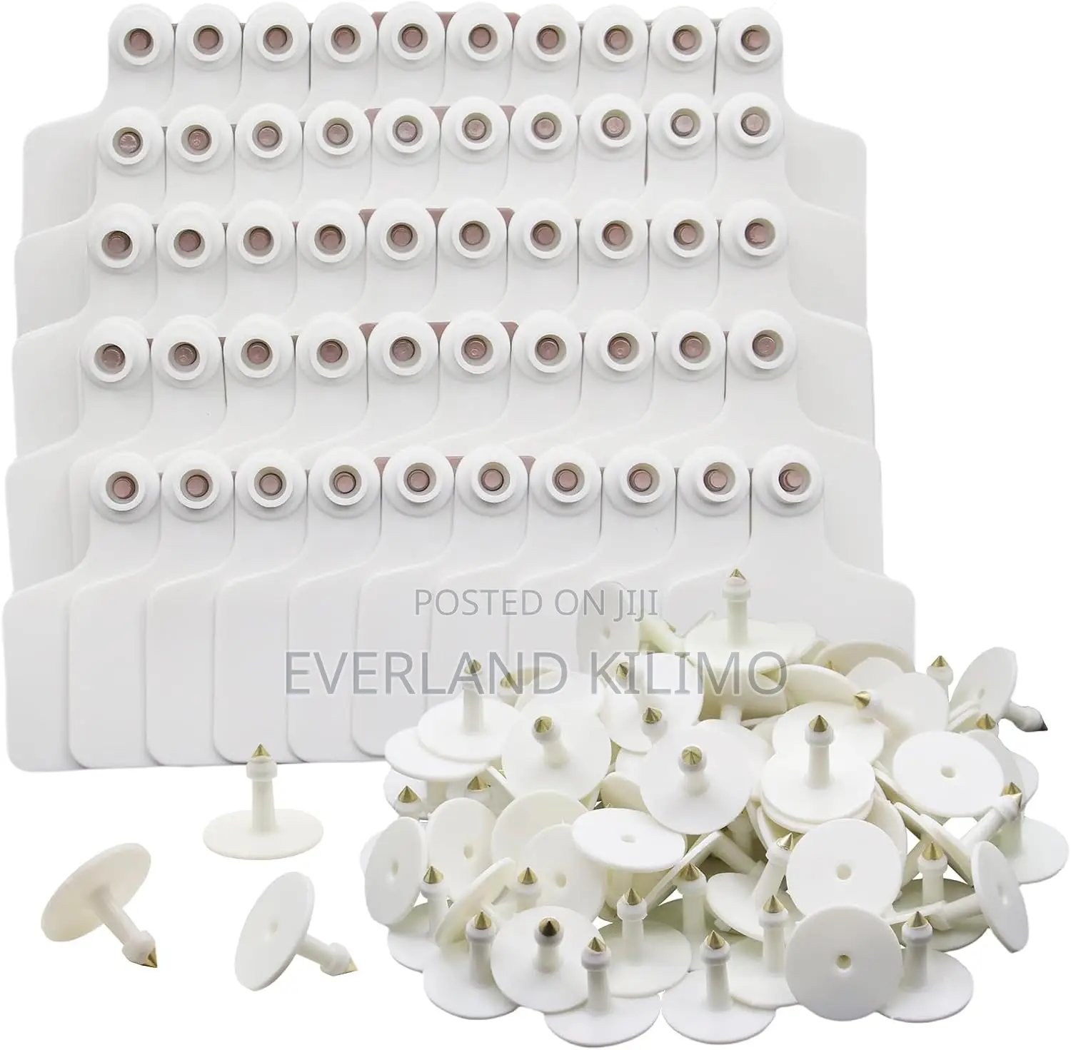 Livestock Ear Tags in White