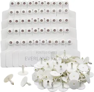 Livestock Ear Tags in White
