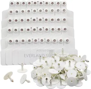 Livestock Ear Tags in White