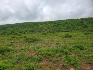 Agricultural Land for Sale in Kitale