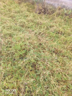 Mlolongo Phase  1 & 2 Plots Impara & Biashara Street  for Apartments