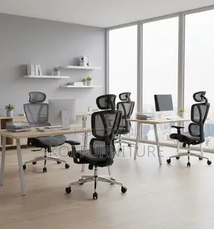 Office Chairs; Orthopedic Reclining Office Station Chairs