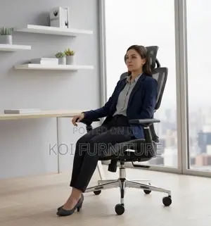 Office Chairs; Orthopedic Reclining Office Station Chairs