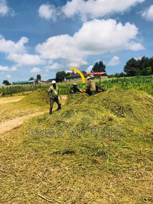 Thirty Three Acre Farm for Sale in Nyandarua