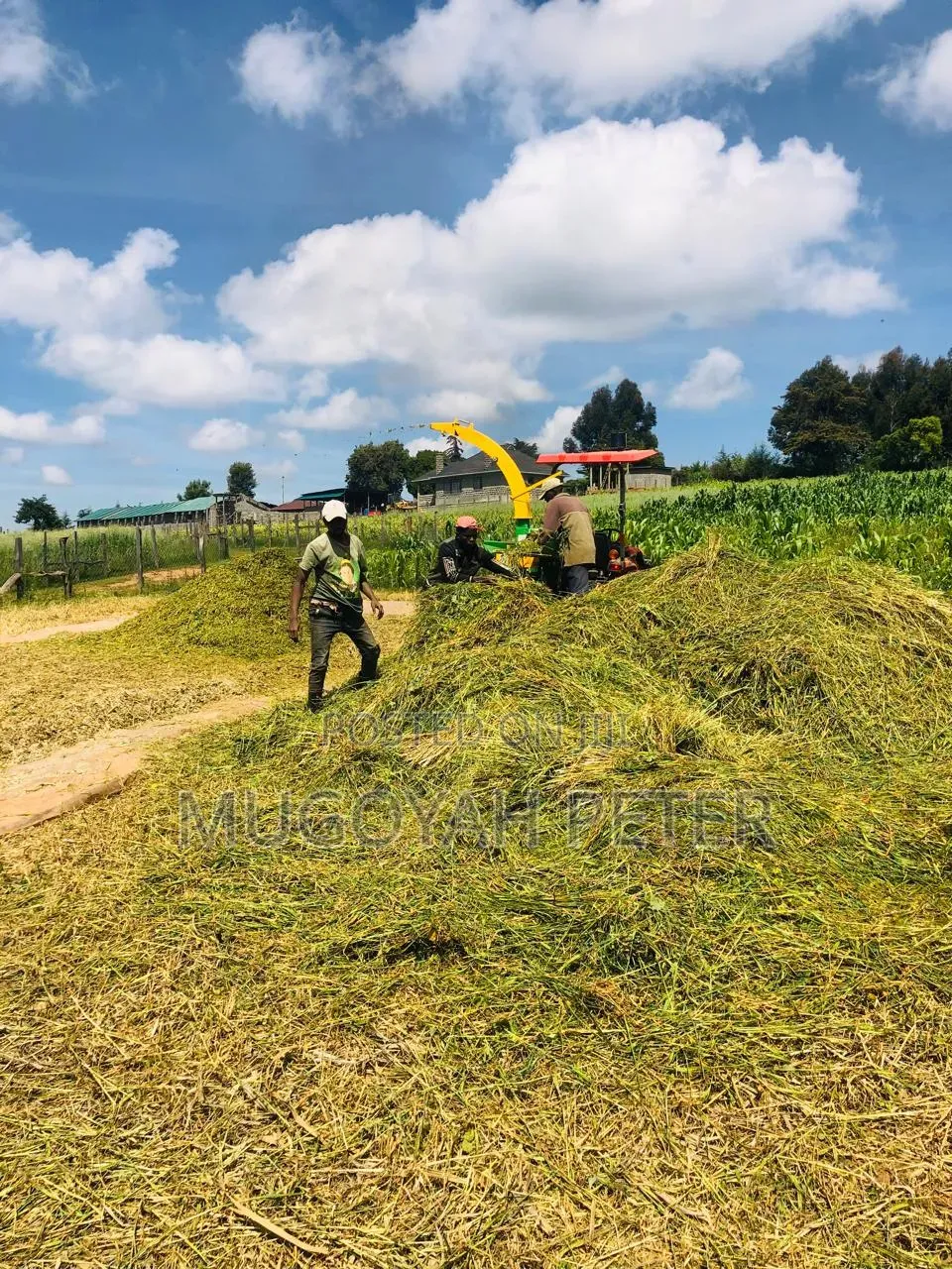 Thirty Three Acre Farm for Sale in Nyandarua