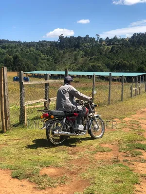 Thirty Three Acre Farm for Sale in Nyandarua