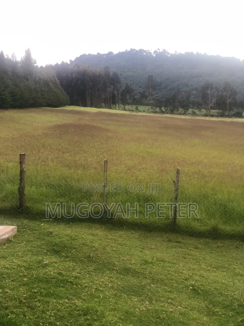 Thirty Three Acre Farm for Sale in Nyandarua
