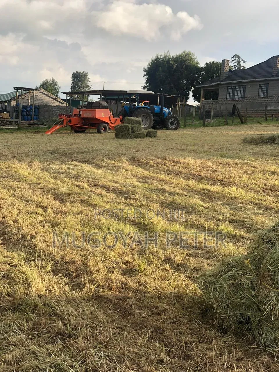 Thirty Three Acre Farm for Sale in Nyandarua