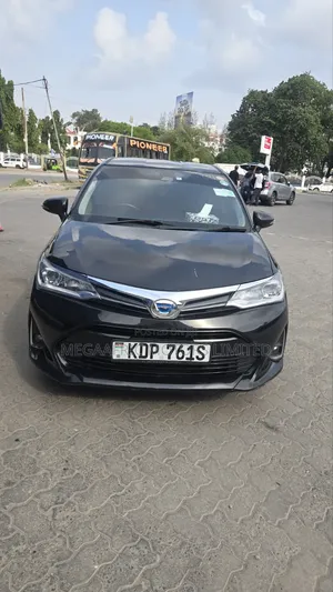 Toyota Corolla Fielder 2018 Black