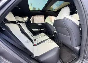 Lexus NX 2022 Gray