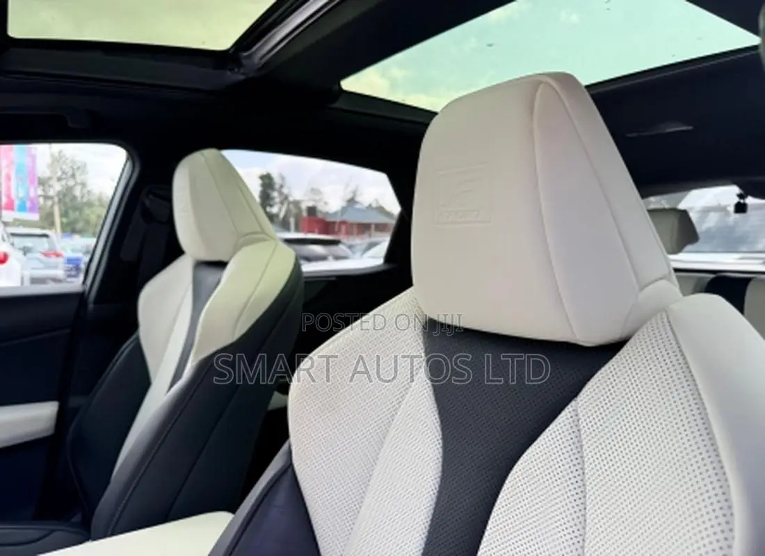 Lexus NX 2022 Gray