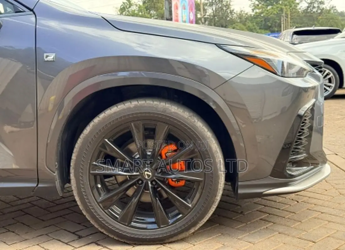 Lexus NX 2022 Gray