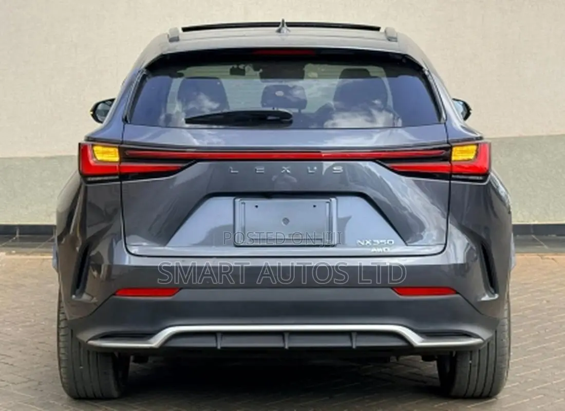 Lexus NX 2022 Gray