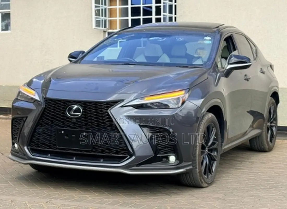 Lexus NX 2022 Gray