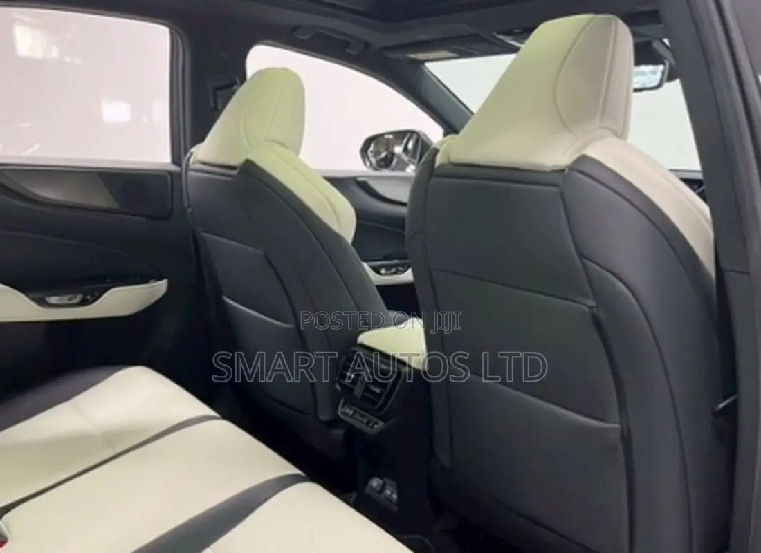 Lexus NX 2022 Gray