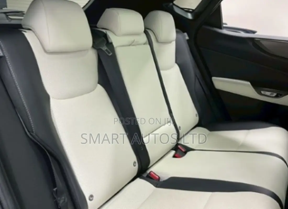 Lexus NX 2022 Gray