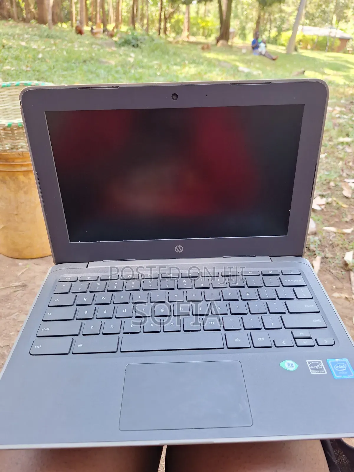 Laptop HP Chromebook 13 G1 8GB HDD 32GB