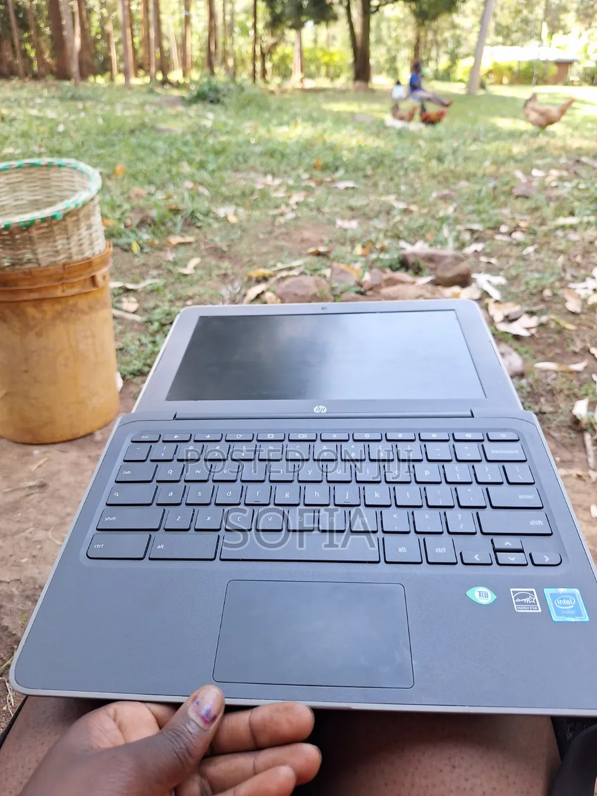 Laptop HP Chromebook 13 G1 8GB HDD 32GB