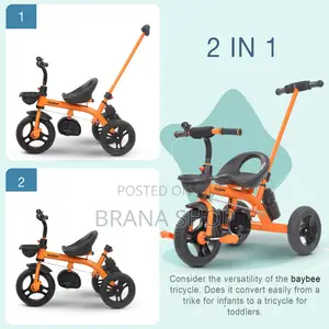 2 in 1 Push Trycle - Orange