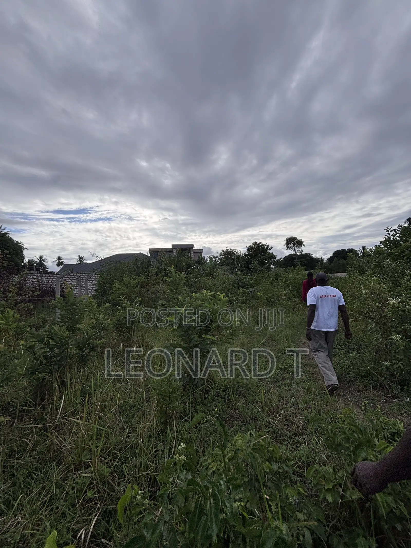 Quarter Acre Plot for Sale – Diani