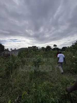 Quarter Acre Plot for Sale – Diani