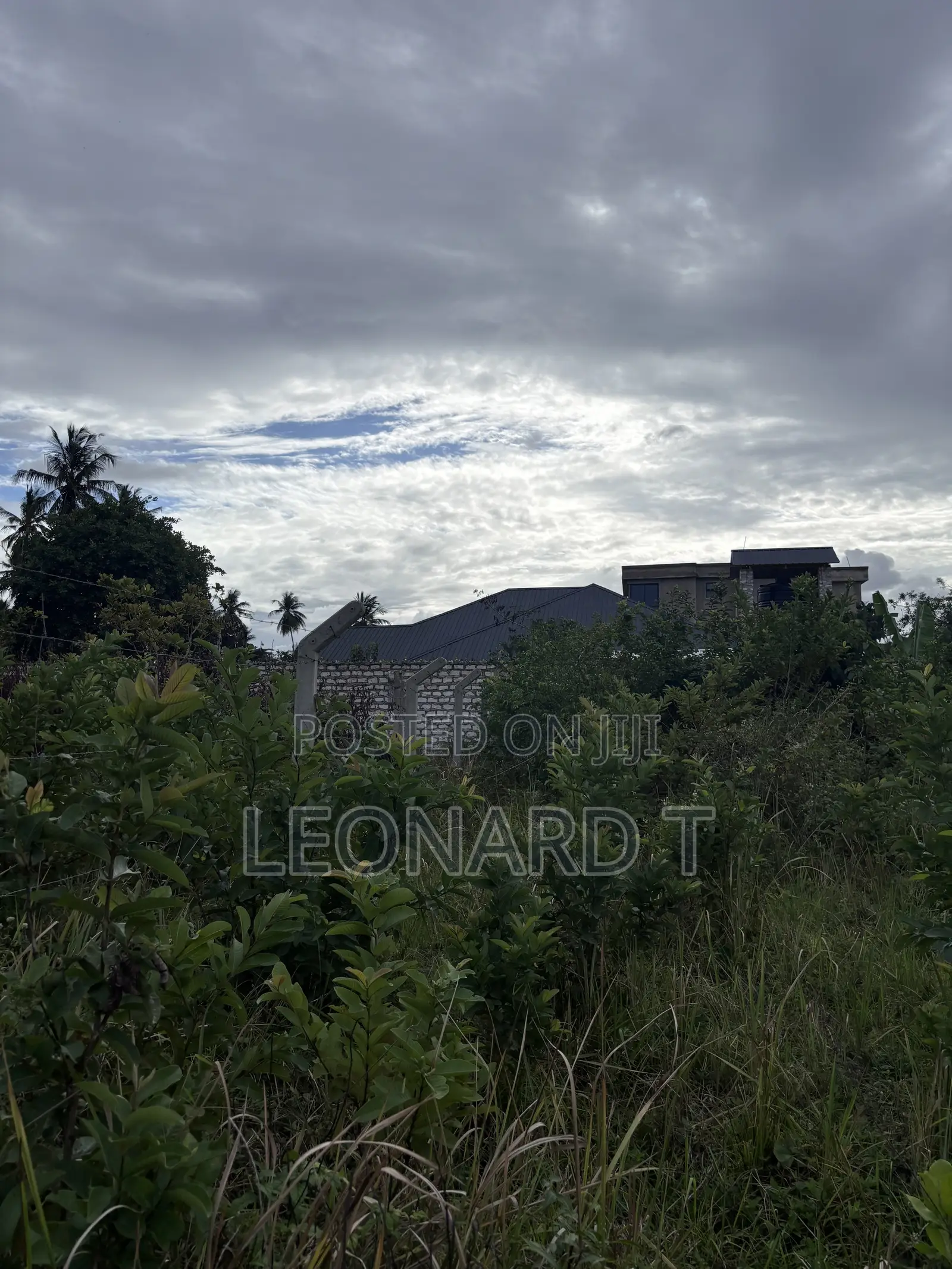 Quarter Acre Plot for Sale – Diani