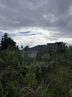 Quarter Acre Plot for Sale – Diani