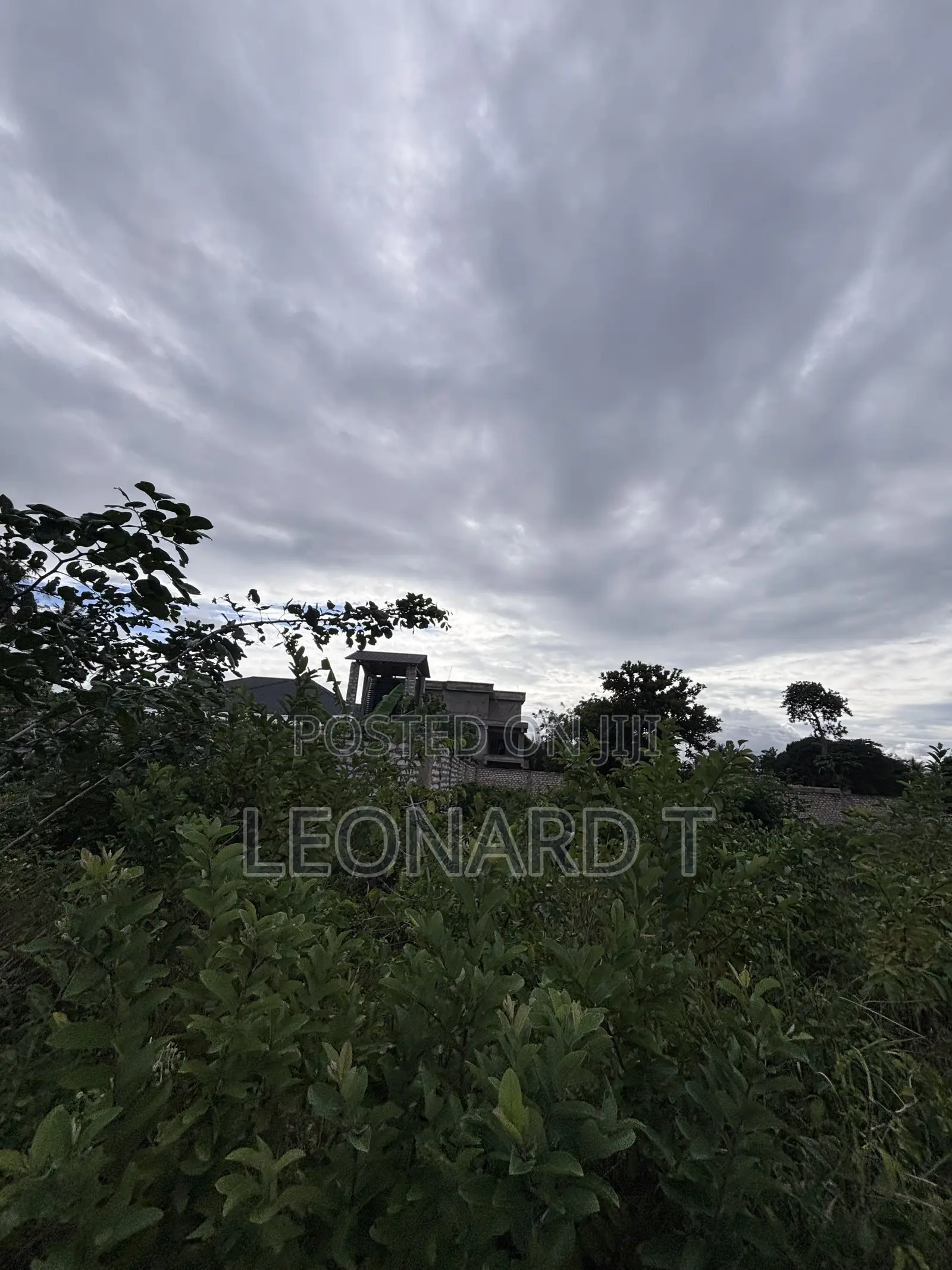 Quarter Acre Plot for Sale – Diani