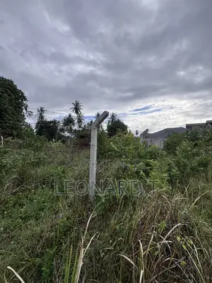 Quarter Acre Plot for Sale – Diani