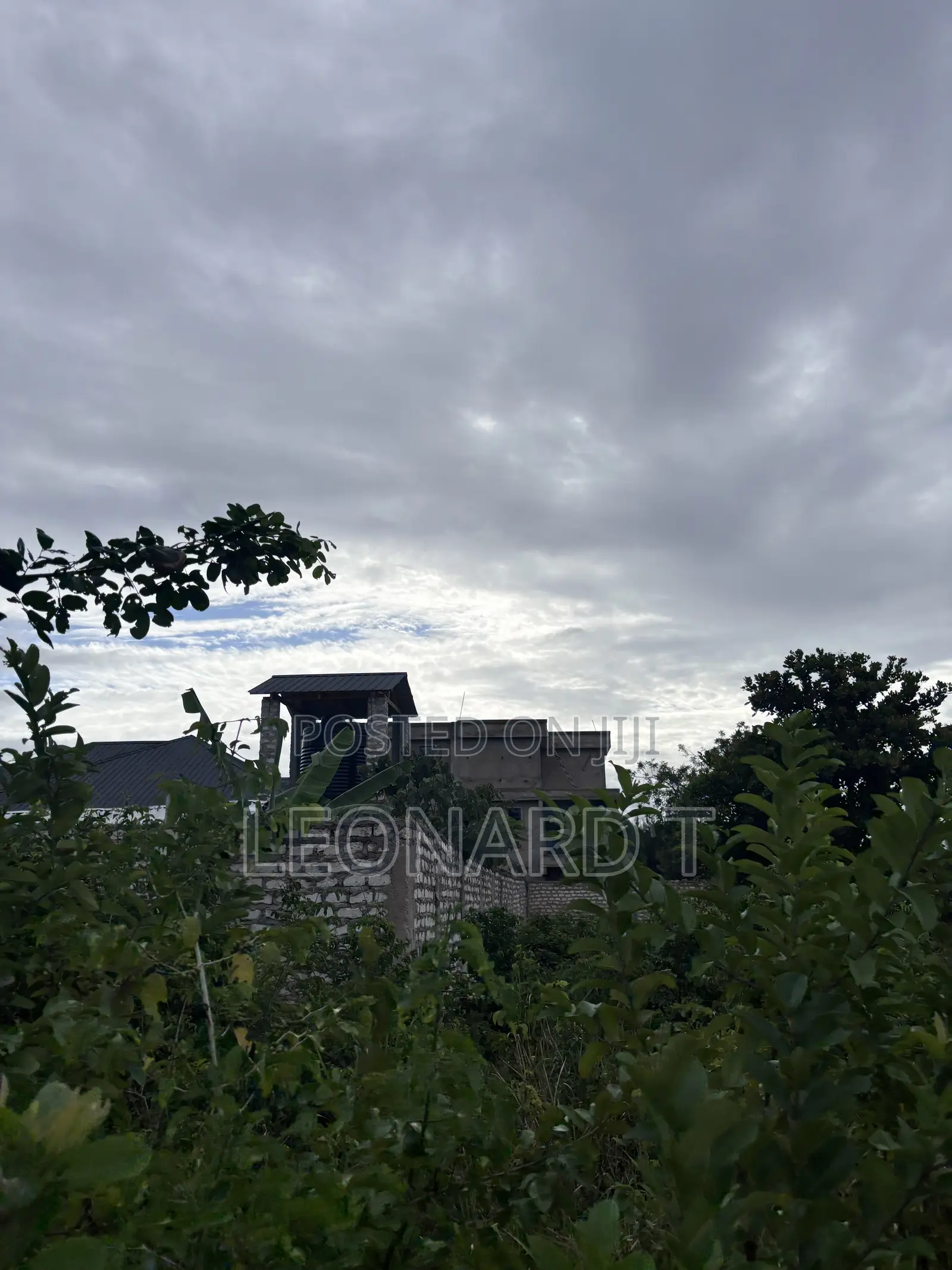 Quarter Acre Plot for Sale – Diani