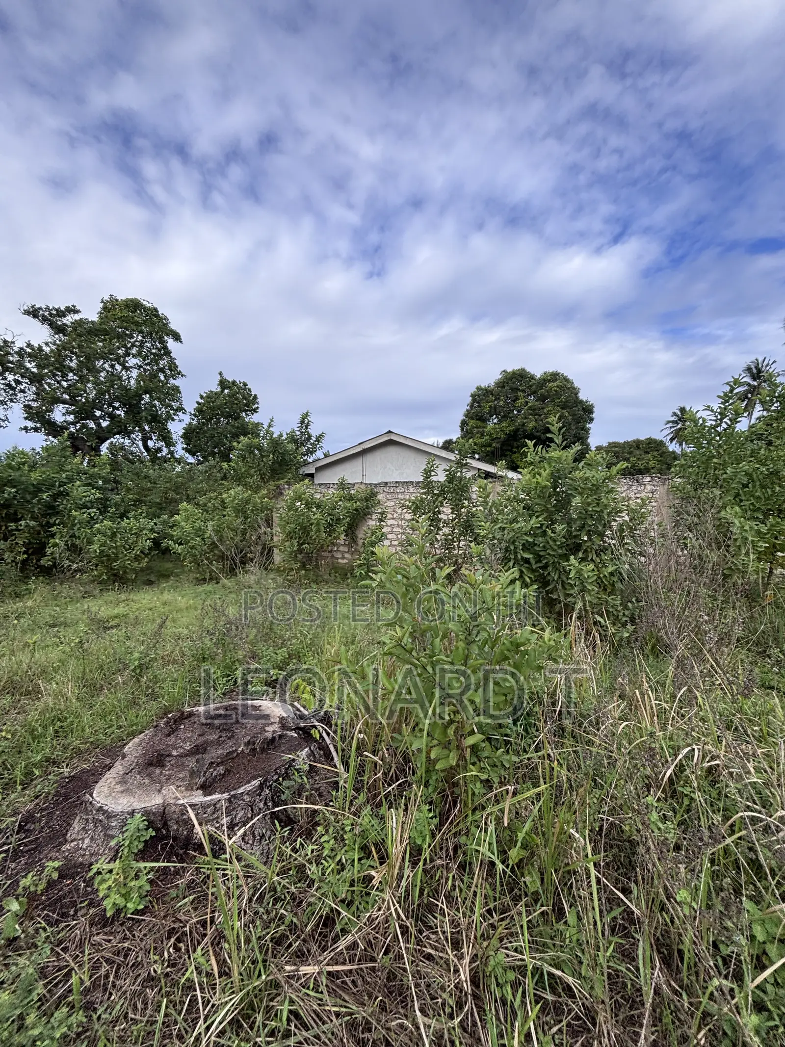 Quarter Acre Plot for Sale – Diani