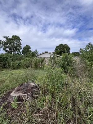 Quarter Acre Plot for Sale – Diani