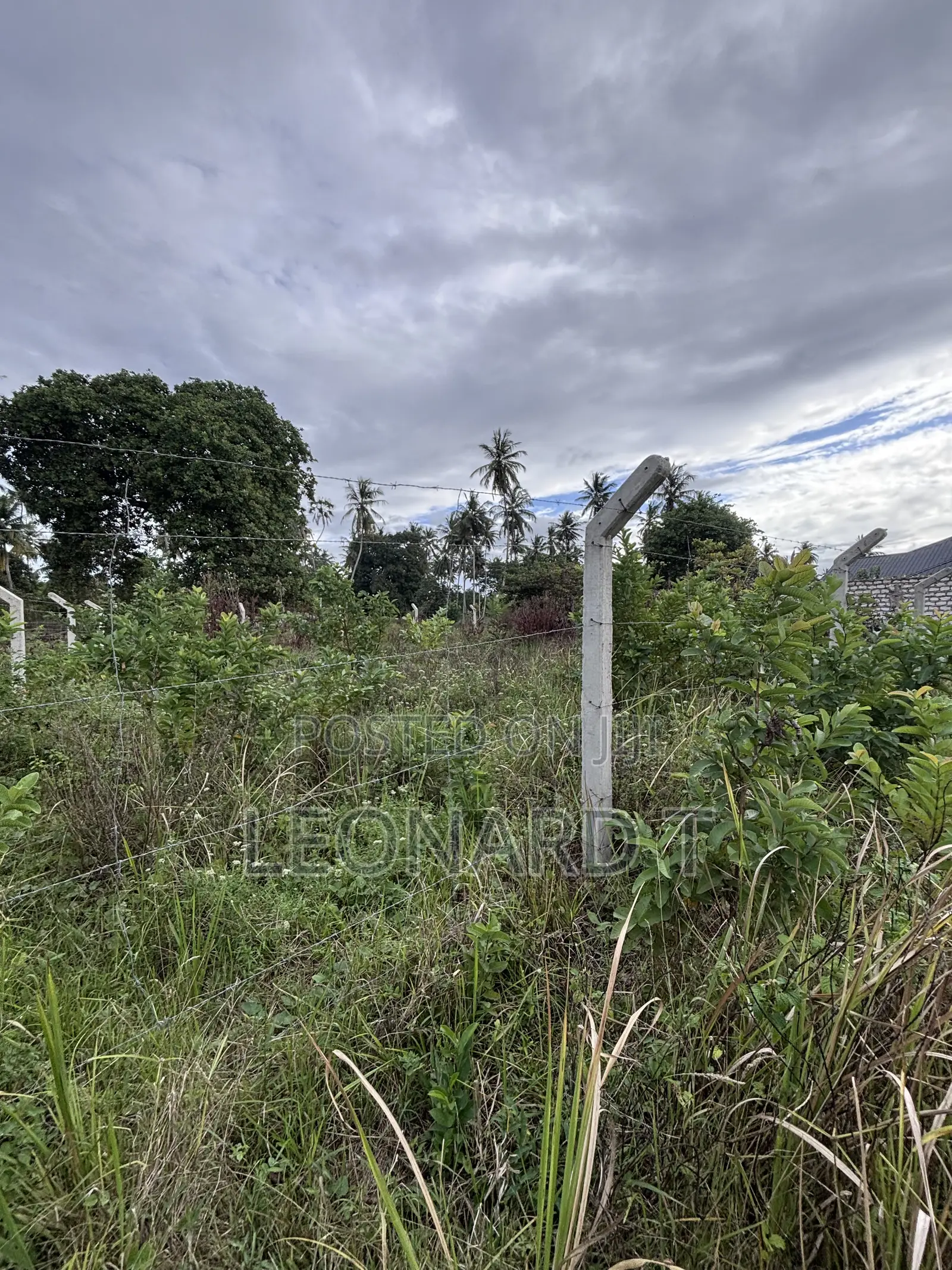 Quarter Acre Plot for Sale – Diani