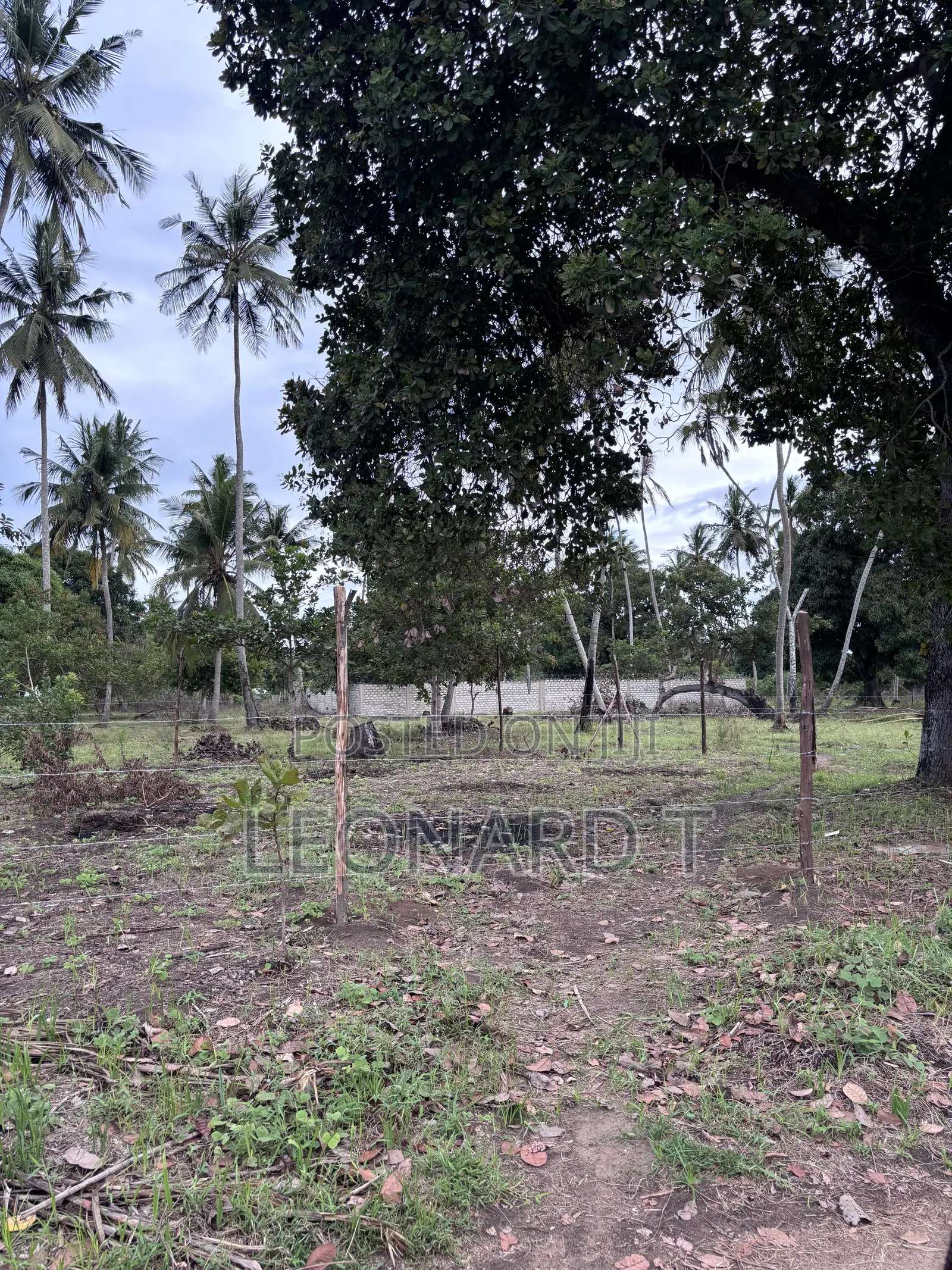 Quarter Acre Plot for Sale – Diani