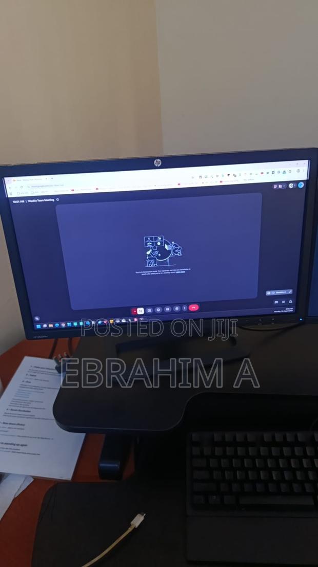 HP Monitor