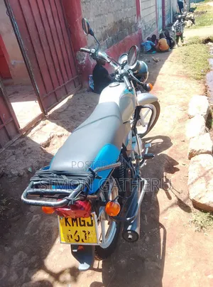 TVS XL 100 2024 Gold