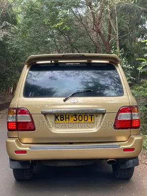 Toyota Land Cruiser 2003 Gold