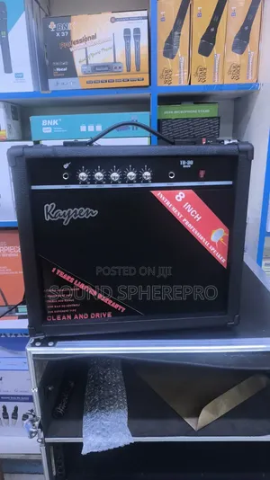 Kaysen TB-30 Bass Combo