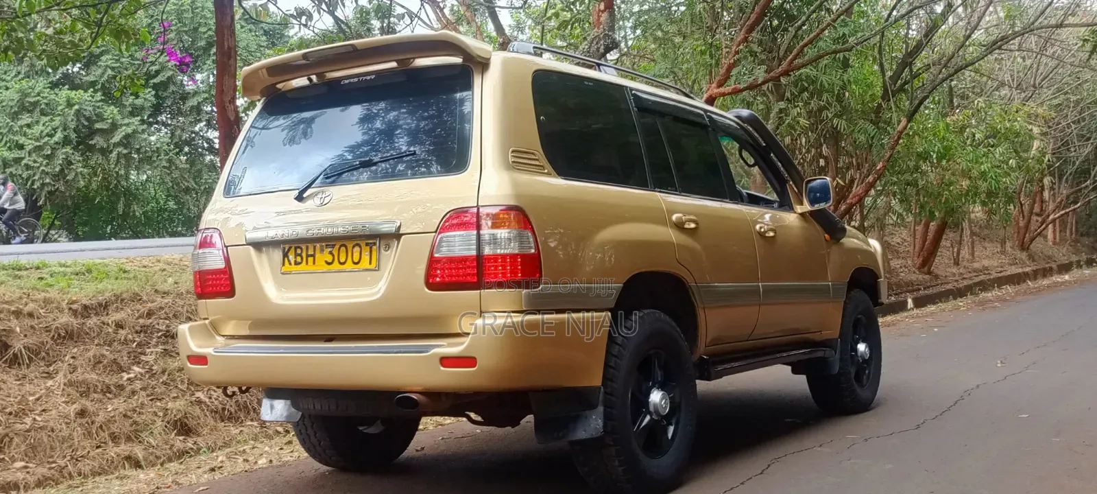 Toyota Land Cruiser 2003 Gold