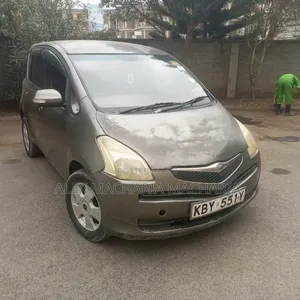 Toyota Ractis 2007 Gray
