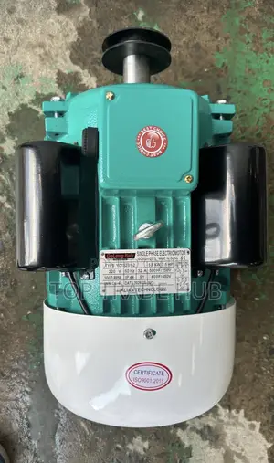 GoLong Italy Single Phase Electric Motor 7.5HP High Speed 3000rpm