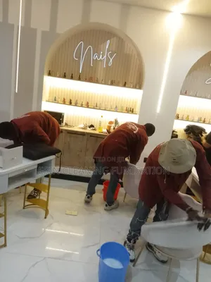 Deep Cleaning of House and Offices