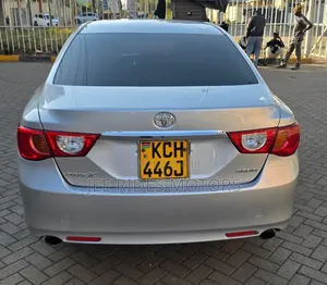 Toyota Mark X 2009 Silver