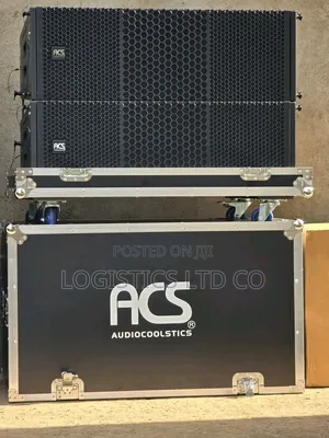 ACS Professional 12 Inch Line Array Speakers for Outdoor Performance