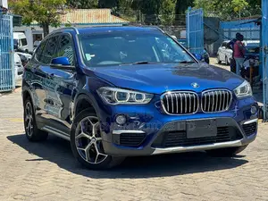 BMW X1 2019 Blue