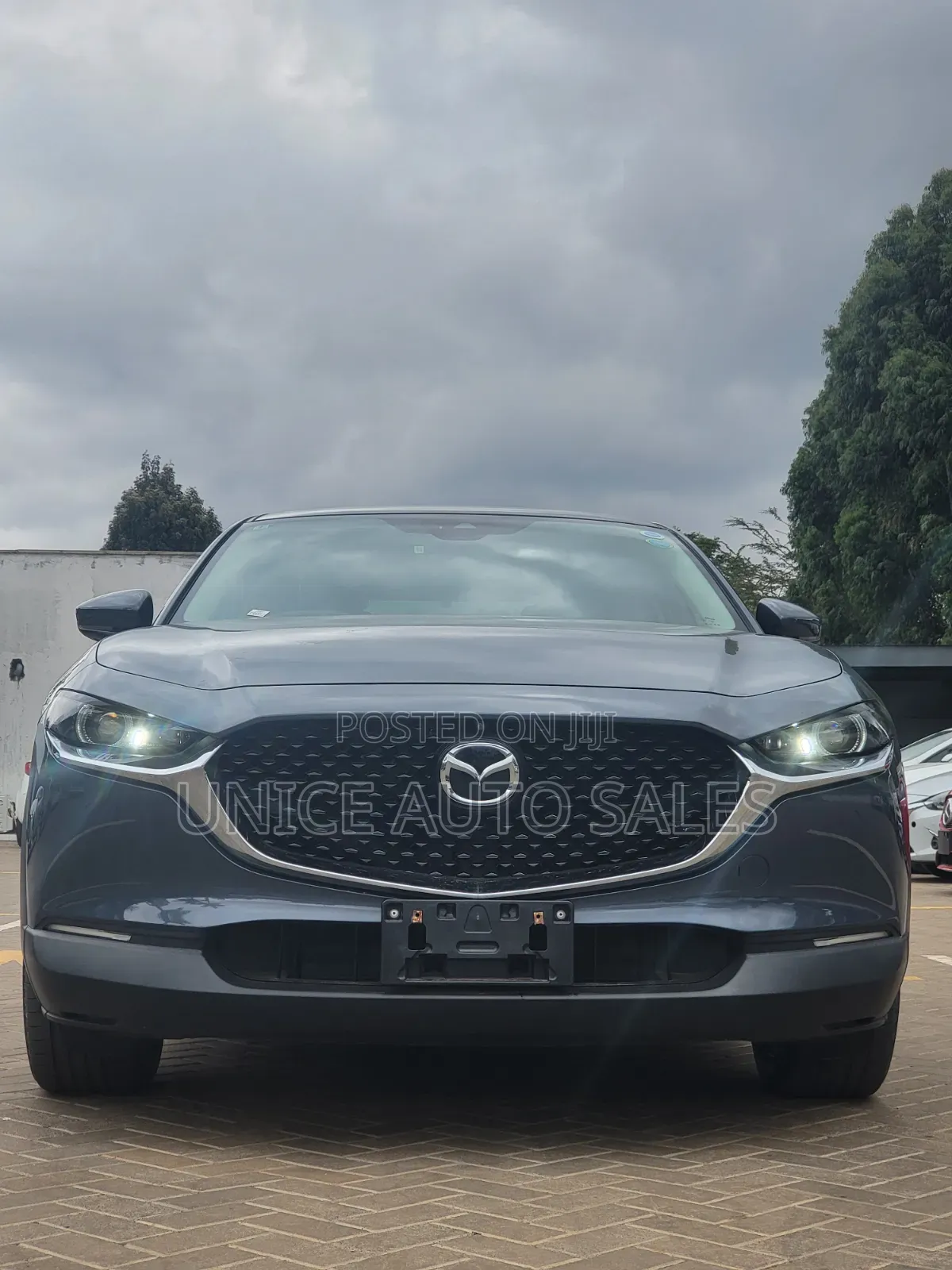 Mazda CX-30 2020 Gray