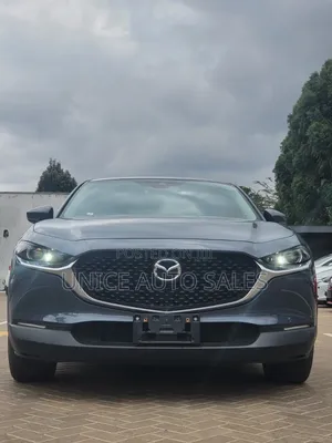 Mazda CX-30 2020 Gray