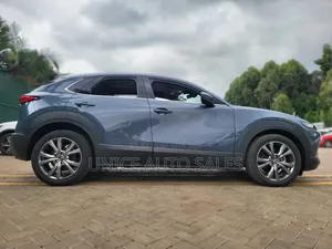 Mazda CX-30 2020 Gray